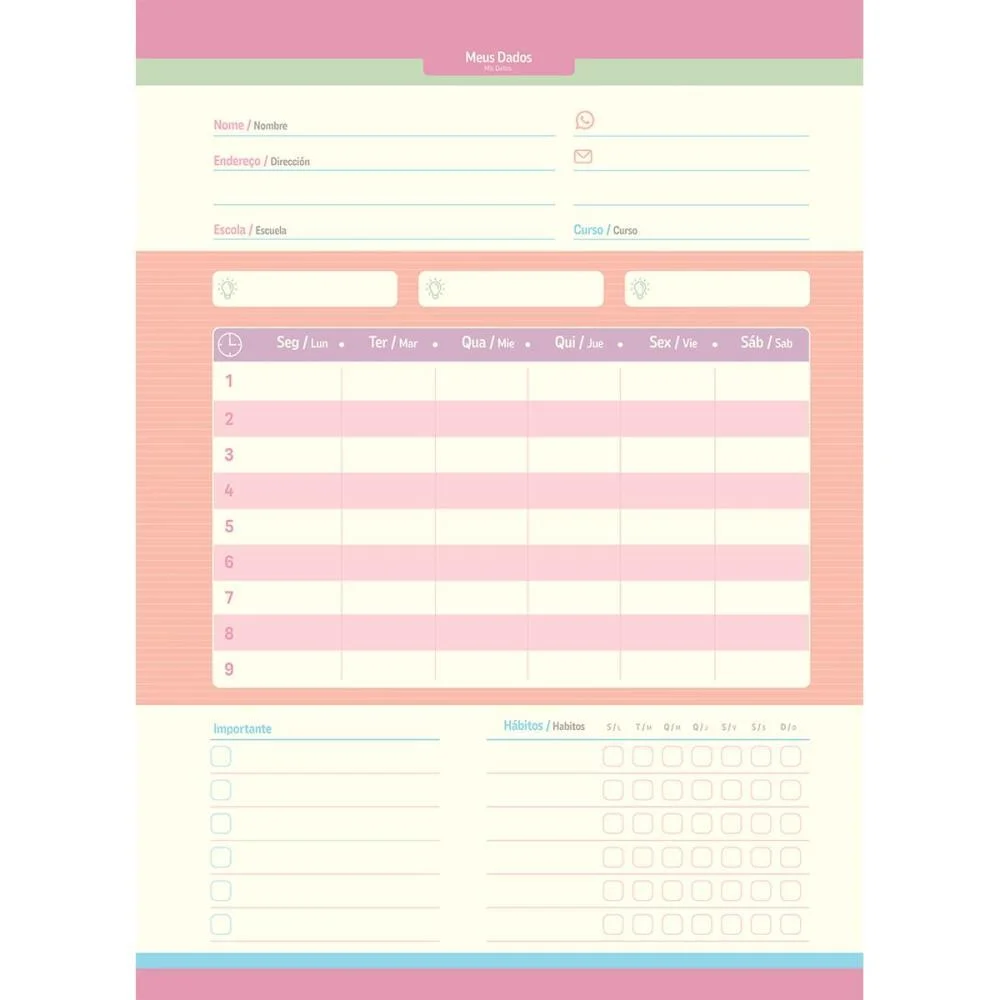 Caderno 10X1 Capa Dura La Creme 160Fls. I.a Jandaia (Pct.c/04) - imagem 11