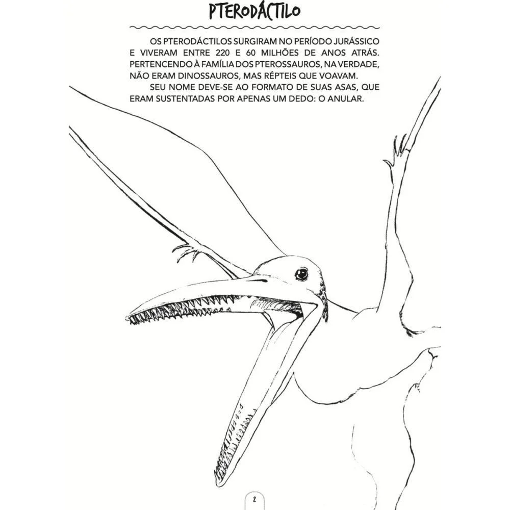 LIVRO INFANTIL COLORIR DINOSSAUROS P/COLORIR 10PGS BICHO ESPERTO (PCT.C/10) - imagem 4