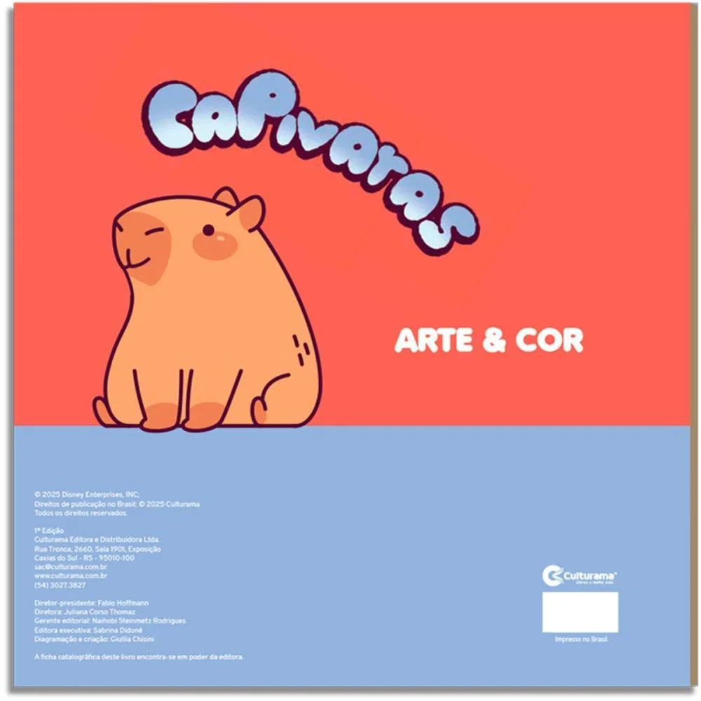 LIVRO INFANTIL COLORIR ARTE E COR CAPIVARAS 27X27 36P CULTURAMA (UNIDADE) - imagem 3