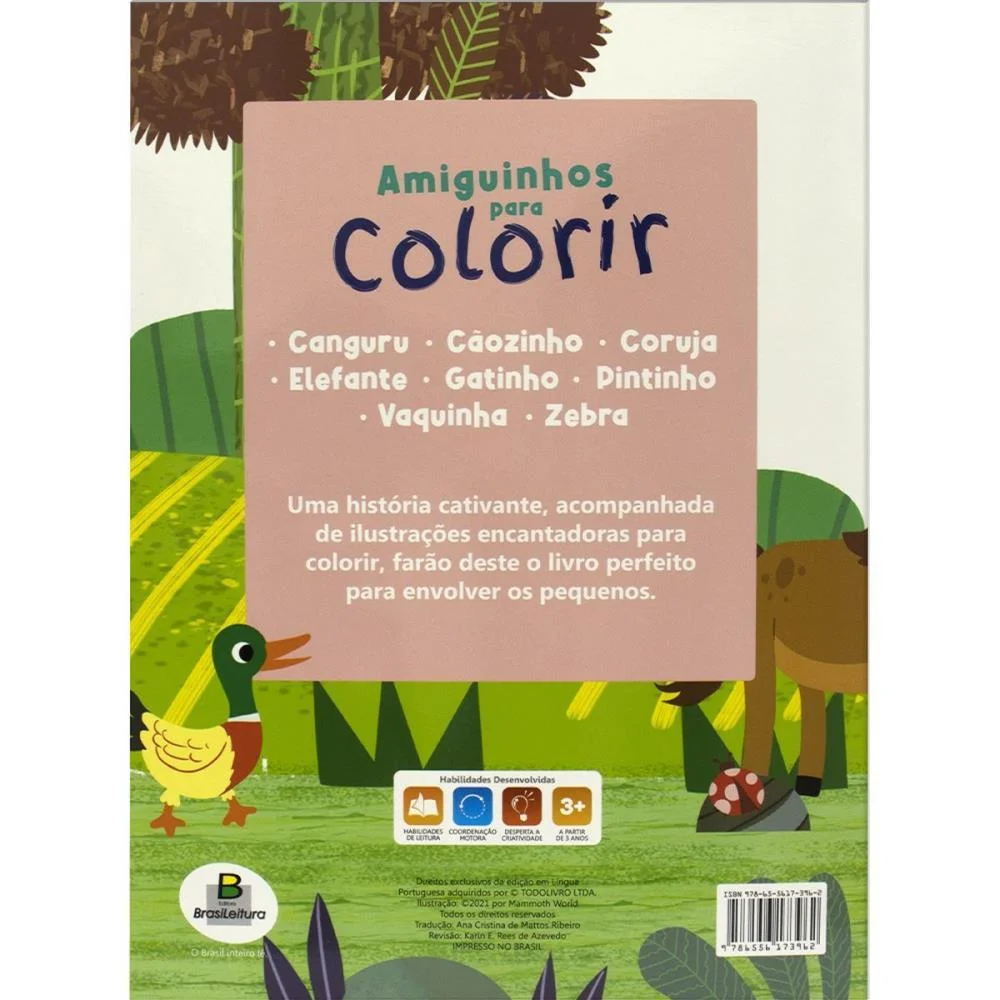 LIVRO INFANTIL COLORIR AMIGUINHOS PARA COLORIR 10P(S) TODOLIVRO (PCT.C/05) - imagem 15