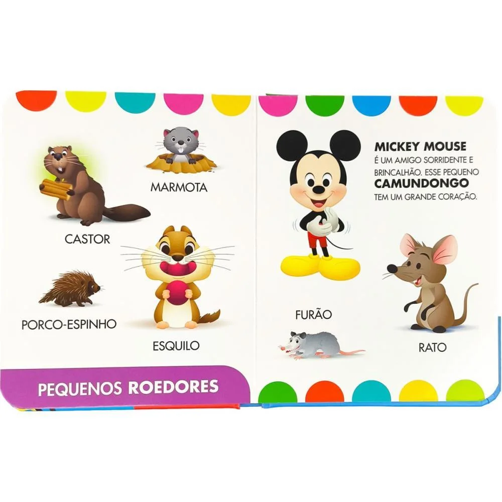 LIVRO INFANTIL ILUSTRADO MEUS CINCO SENTIDOS 12,5X15,5 MAGIC KIDS (UNIDADE) - imagem 5