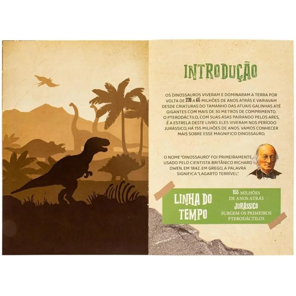LIVRO BRINQUEDO ILUSTRADO MUNDO DOS MINIDINOS:PTERODACTI TODOLIVRO (UNIDADE) - imagem 3