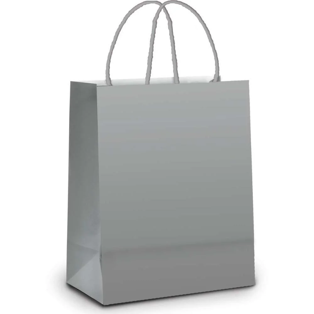 SACOLA PARA PRESENTE LISA PRATA M 26X19,5X9,5CM CROMUS (PCT.C/10) - imagem 3