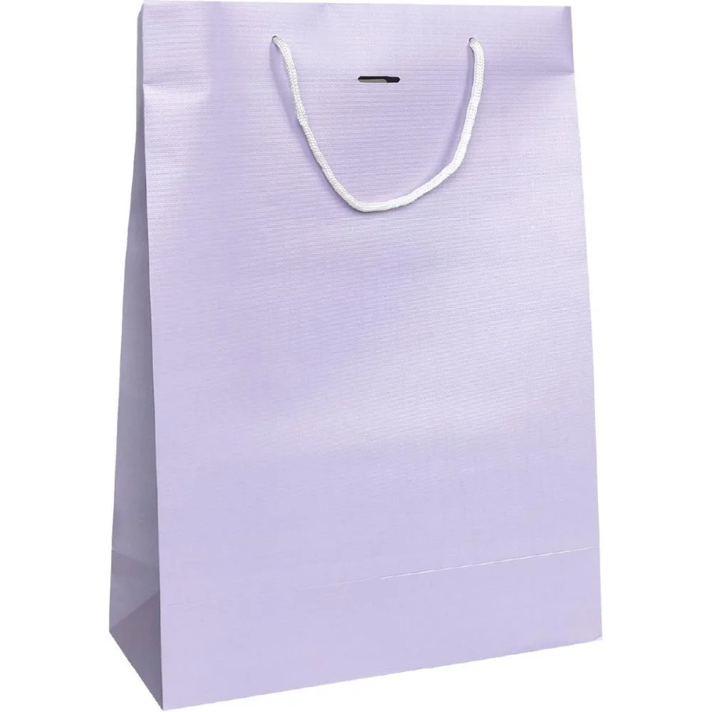 SACOLA PARA PRESENTE LISA FASHION G 40X29X12 TEXT. (S) CRISTINA (PCT.C/10) - imagem 4