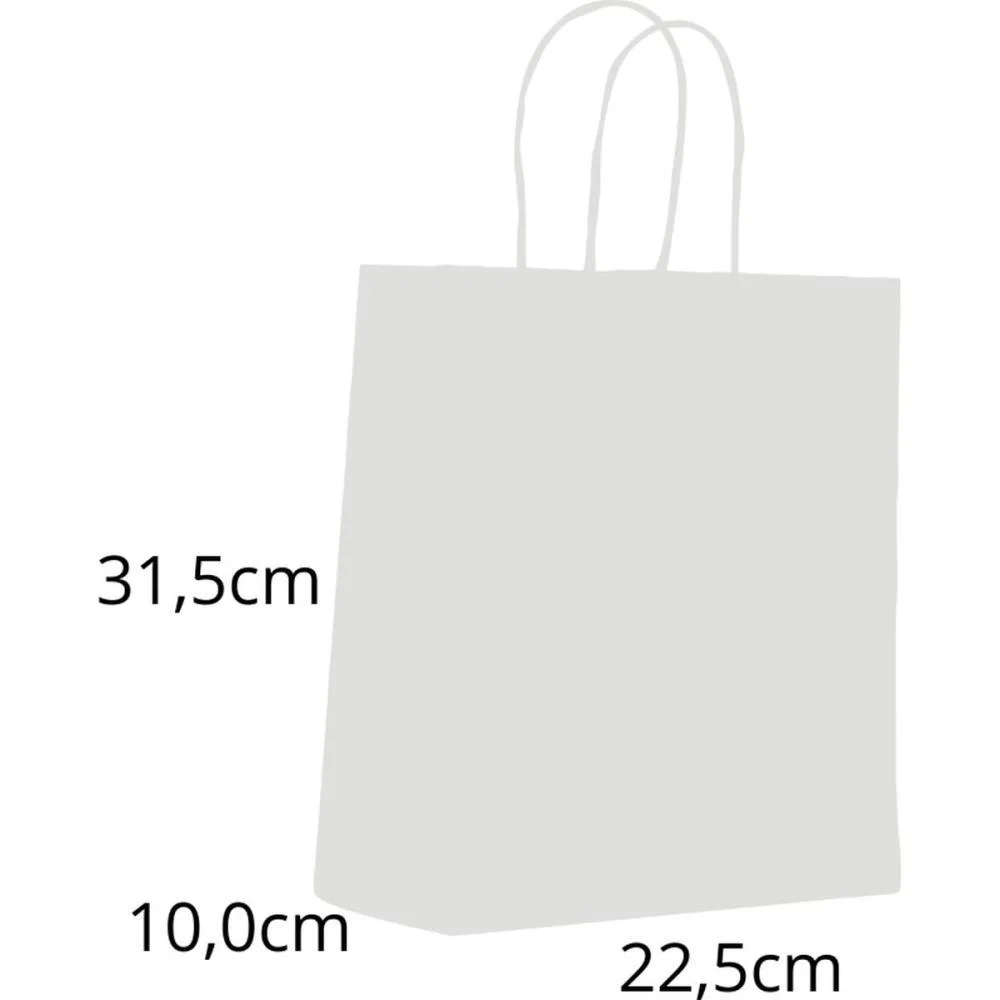 SACOLA PARA PRESENTE LISA BRANCA M 22,5X31,5X10CM SCRITY (PCT.C/10) - imagem 2