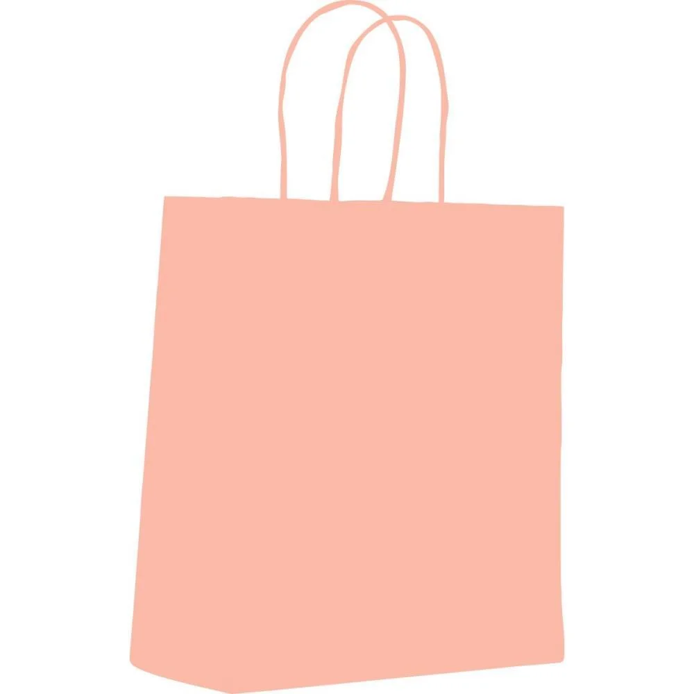 SACOLA PARA PRESENTE LISA ROSA BEBE P 16,4X21X8,5CM SCRITY (PCT.C/10) - imagem 3