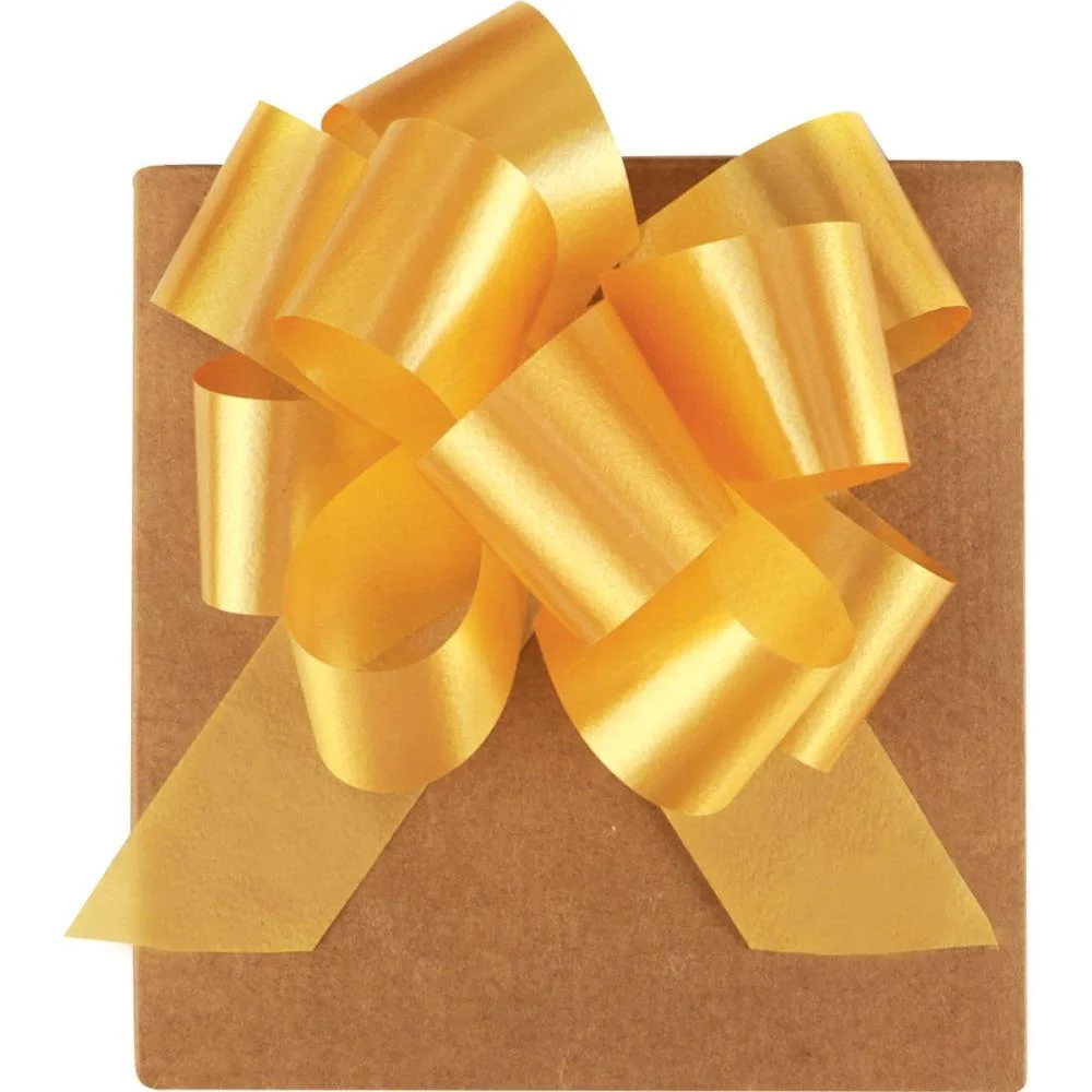 LACO PRONTO LISO 20MMX40CM. CORES SORTIDAS EMFESTA (PCT.C/100) - imagem 6