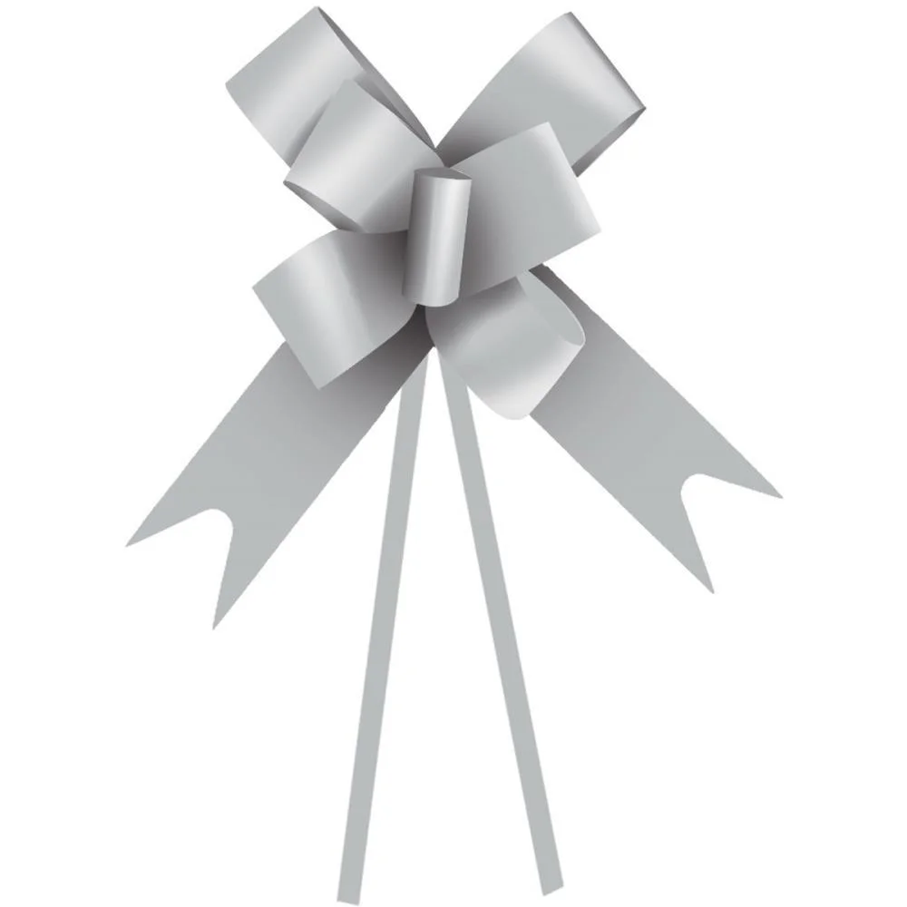 LACO PRONTO LISO 48MM PRATA C/10UN CROMUS (PCT.C/10) - imagem 3