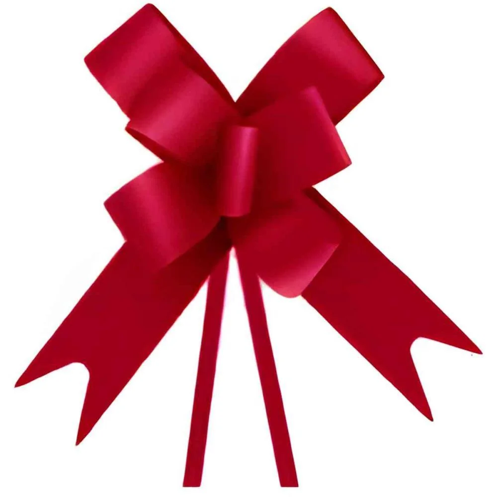 LACO PRONTO LISO 30MMX50CM VERMELHO XINGO EMBALAGENS (PCT.C/10) - imagem 3