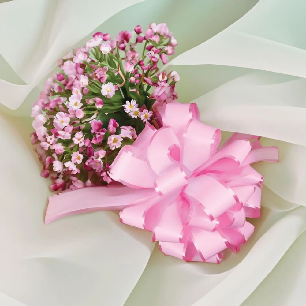 FITA POLI LISA 30MMX100M CLASSIC DOURADO EMFESTA (ROLO) - imagem 3