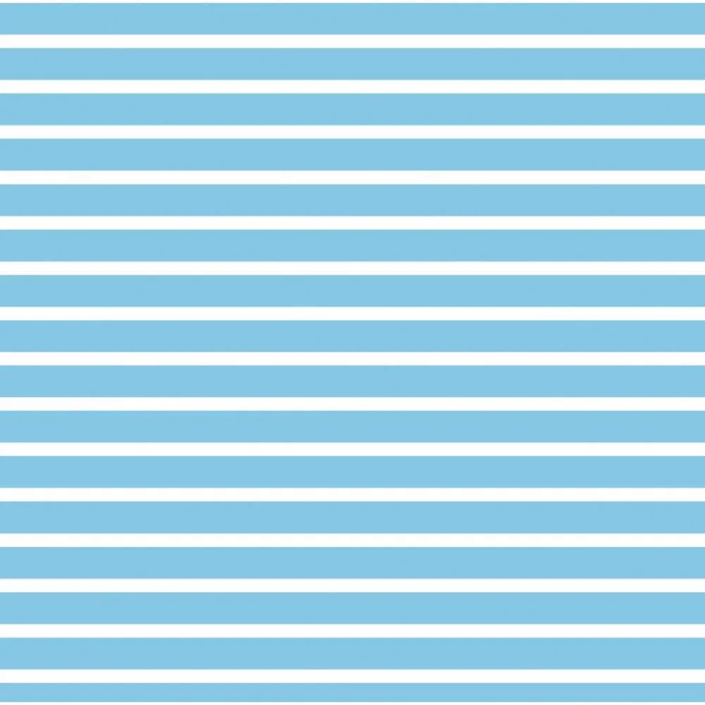 PLACA EM EVA ESTAMPADO 60X40CM LISTRADO AZUL/BCO 2MM MAKE+ (PCT.C/05) - imagem 2