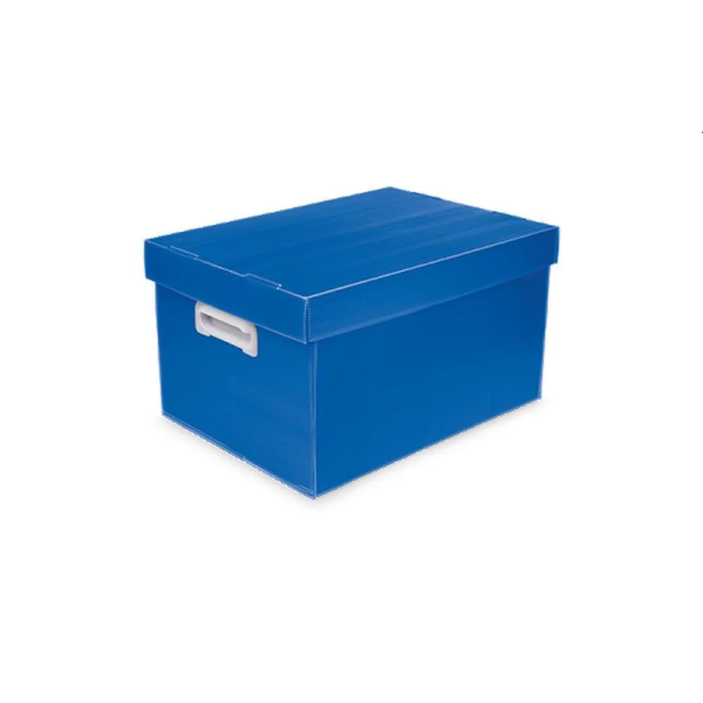 CAIXA ORGANIZADORA THE BEST BOX M 370X280X212 AZ POLIBRAS (UNIDADE) - imagem 4