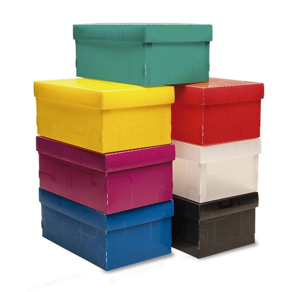 CAIXA ORGANIZADORA TOP LINE SAPATO 28X17X12CM.VD DELLO (UNIDADE) - imagem 4