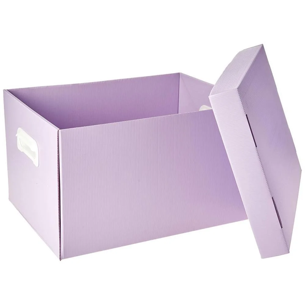 CAIXA ORGANIZADORA THE BEST BOX G 437X310X240 LLP POLIBRAS (UNIDADE) - imagem 4