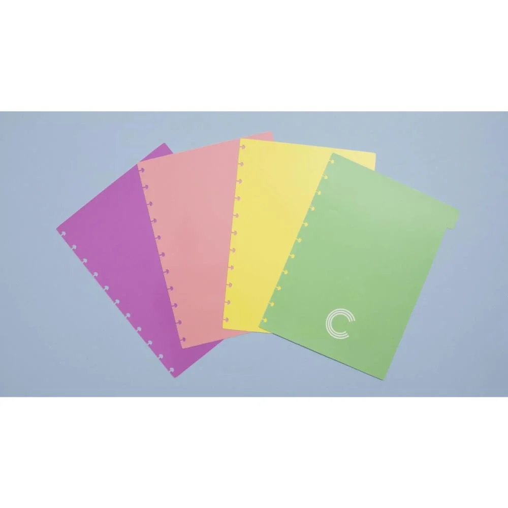 CADERNO INTELIGENTE DIVISORIAS GRANDE PASTEL C/4 UNID. CADERNO INTELIGENTE (PACOTE) - imagem 3