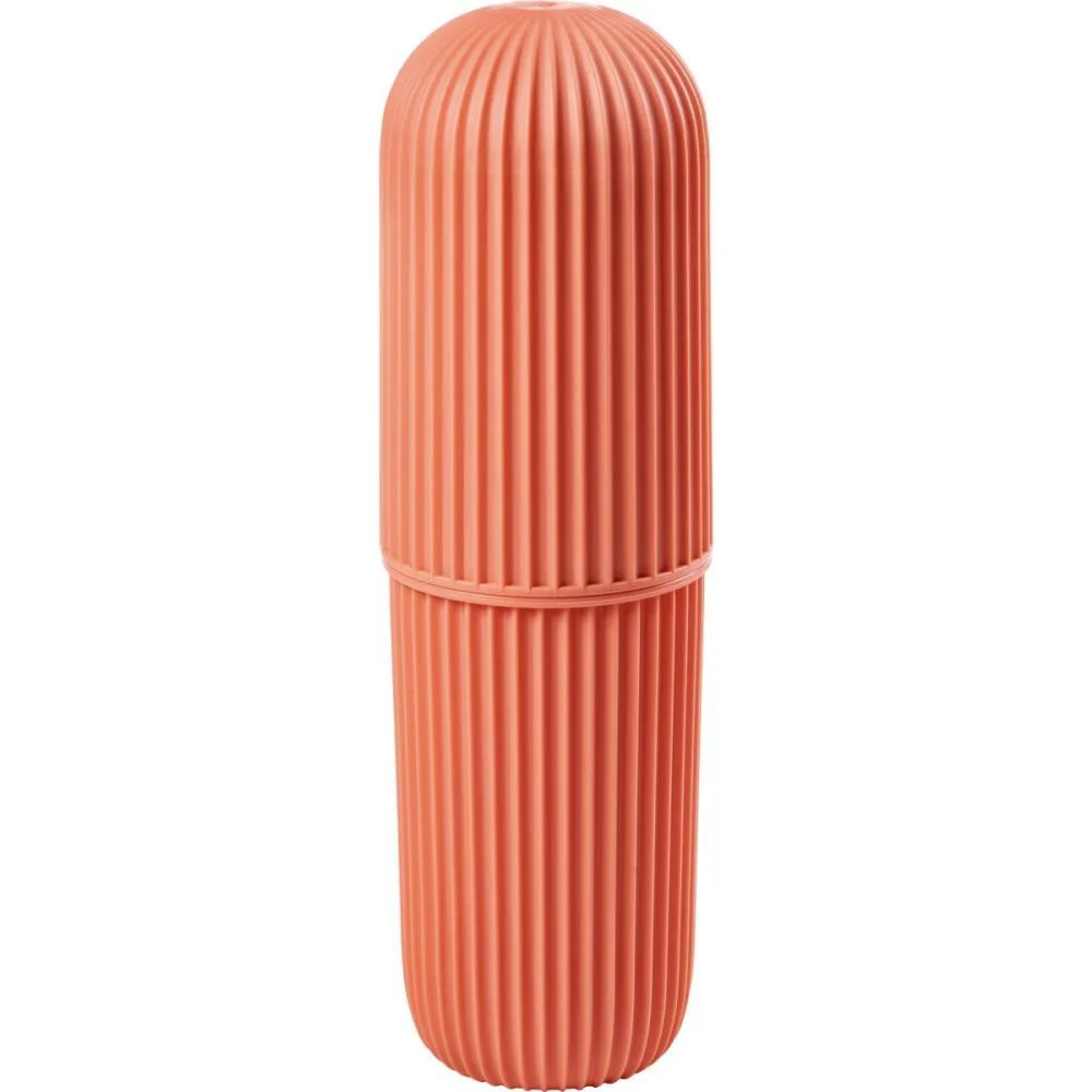 ESTOJO PLASTICO ESTOJO MULTIUSO PLASUTIL (UNIDADE) - imagem 6