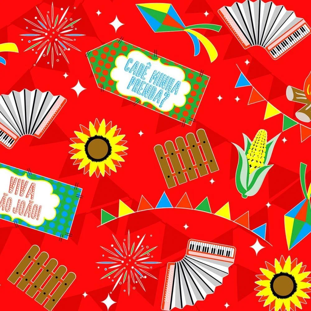 TNT ESTAMPADO 1,40M 40G FESTA NO ARRAIA VERMELHO MEWI (BO-25MTS) - imagem 3