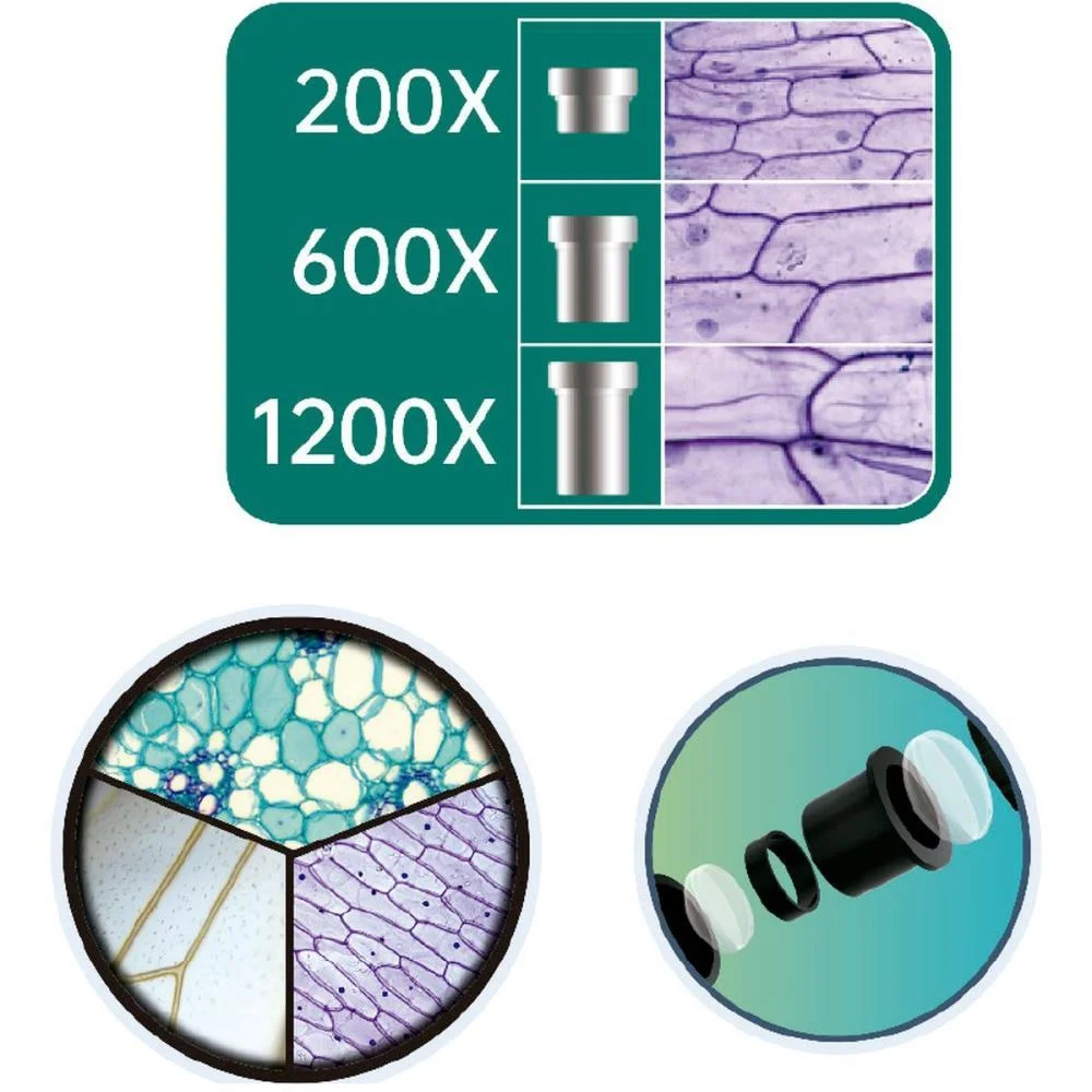 BRINCANDO DE PROFISSOES MICROSCOPIO 22CM ATÉ 1200X POLIBRINQ  - imagem 5