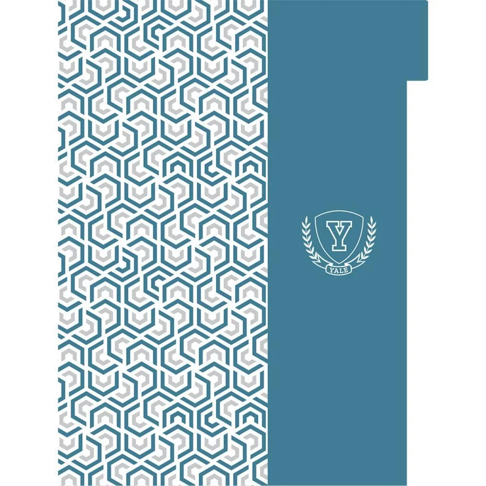 CADERNO 01X1 CAPA DURA YALE NEO 80FLS. I.A JANDAIA (UNIDADE) - imagem 5