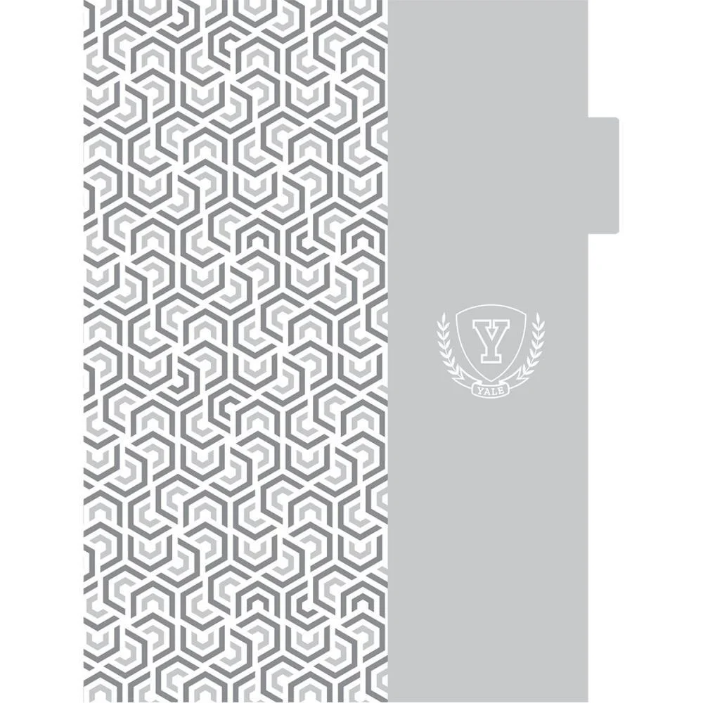 CADERNO 01X1 CAPA DURA YALE NEO 80FLS. I.A JANDAIA (UNIDADE) - imagem 6