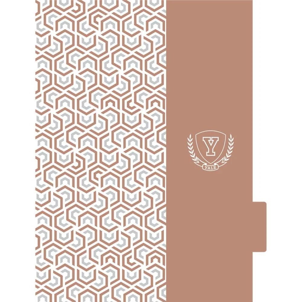 CADERNO 01X1 CAPA DURA YALE NEO 80FLS. I.A JANDAIA (UNIDADE) - imagem 9