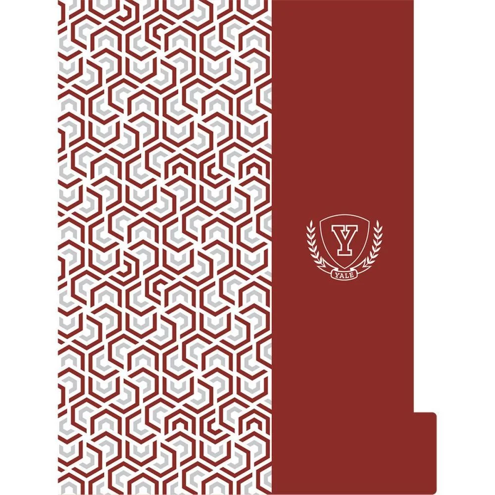 CADERNO 01X1 CAPA DURA YALE NEO 80FLS. I.A JANDAIA (UNIDADE) - imagem 10