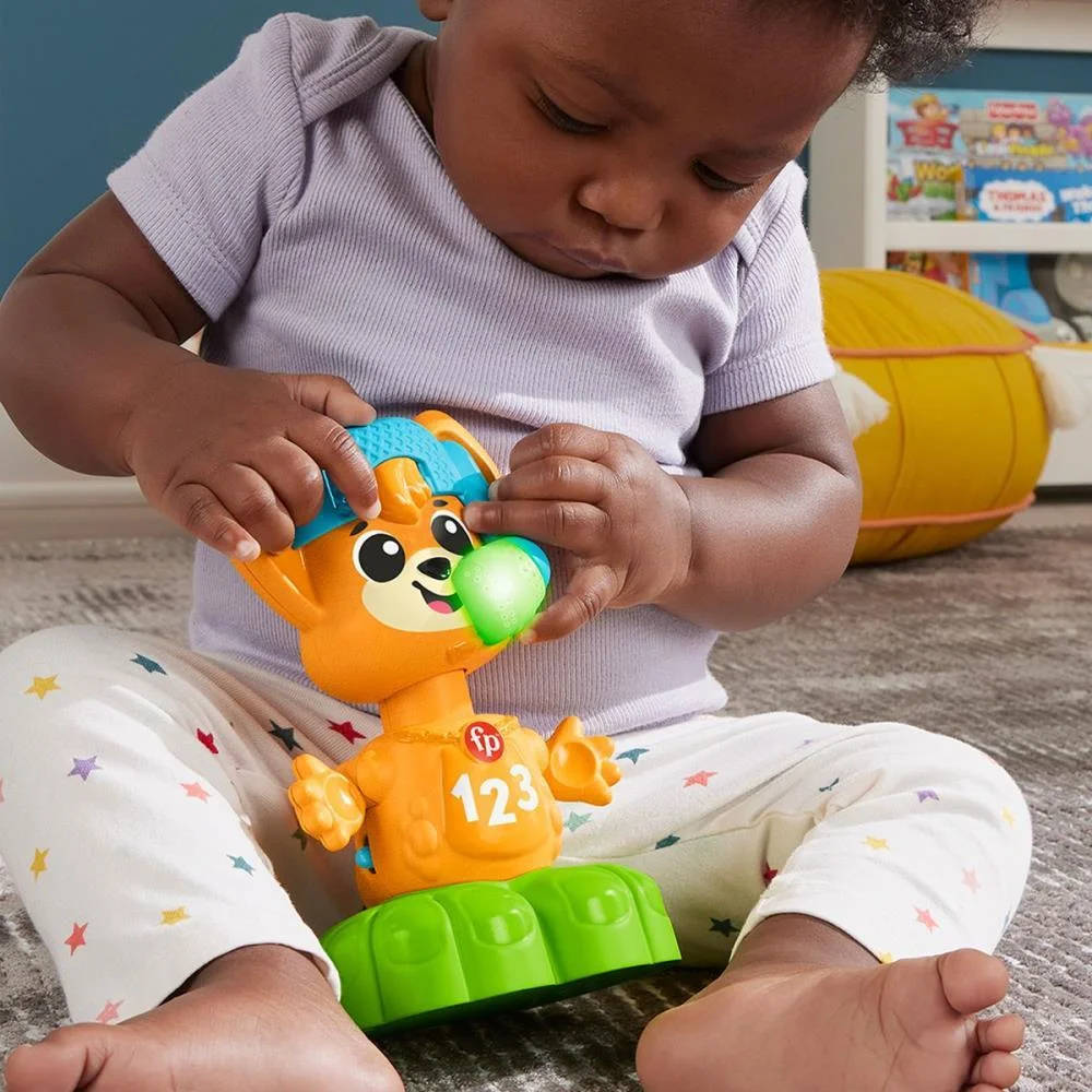 FISHER-PRICE INFANT ESQUADRAO MUSICAL RAPOSA MATTEL  - imagem 5