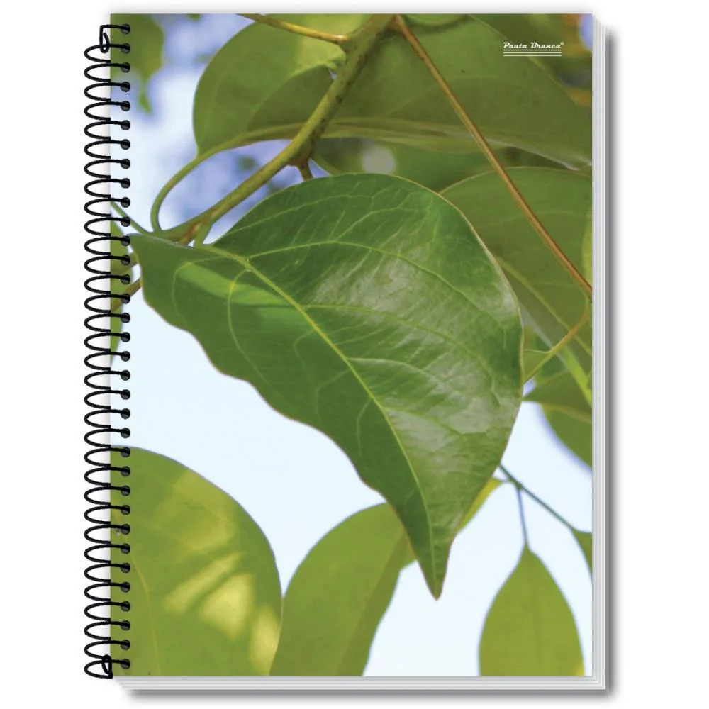 CADERNO 01X1 CAPA DURA NEW 96FLS. PAUTA BRANCA (PCT.C/05) - imagem 9
