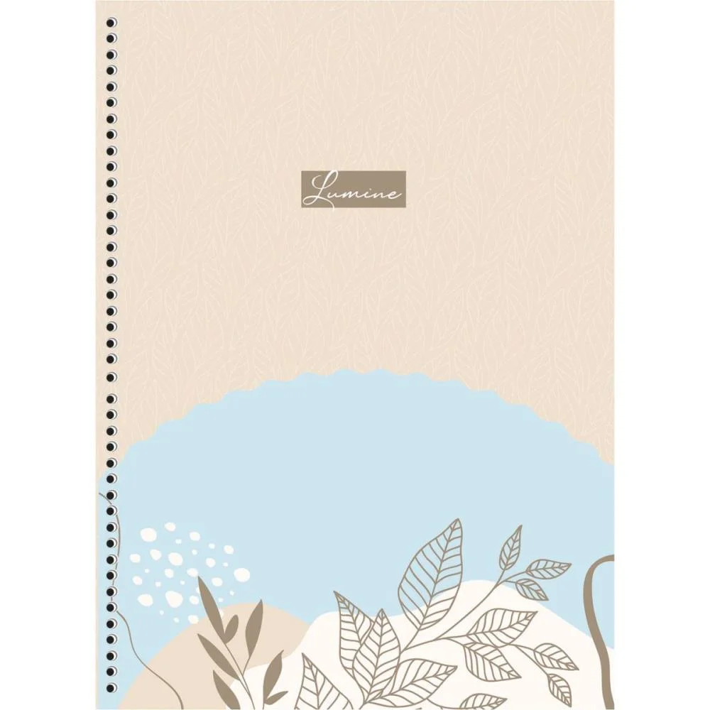 CADERNO 01X1 CAPA DURA LUMINE 80F ANIMATIVA (PCT.C/04) - imagem 5