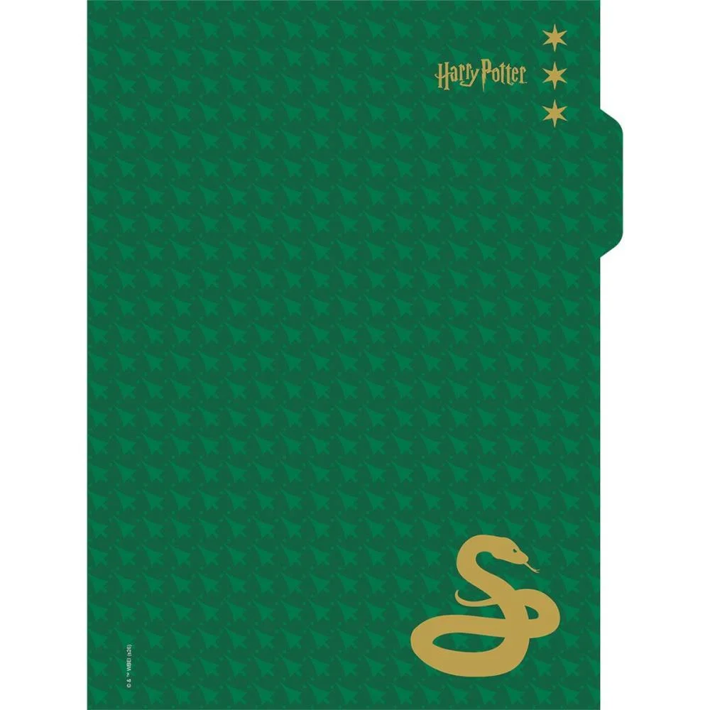 CADERNO 01X1 CAPA DURA HARRY POTTER NEO 80FLS I.A JANDAIA (UNIDADE) - imagem 12