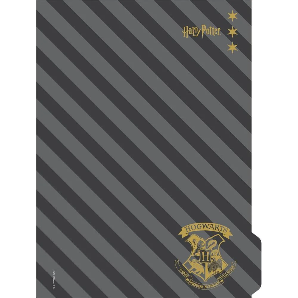 CADERNO 01X1 CAPA DURA HARRY POTTER NEO 80FLS I.A JANDAIA (UNIDADE) - imagem 9