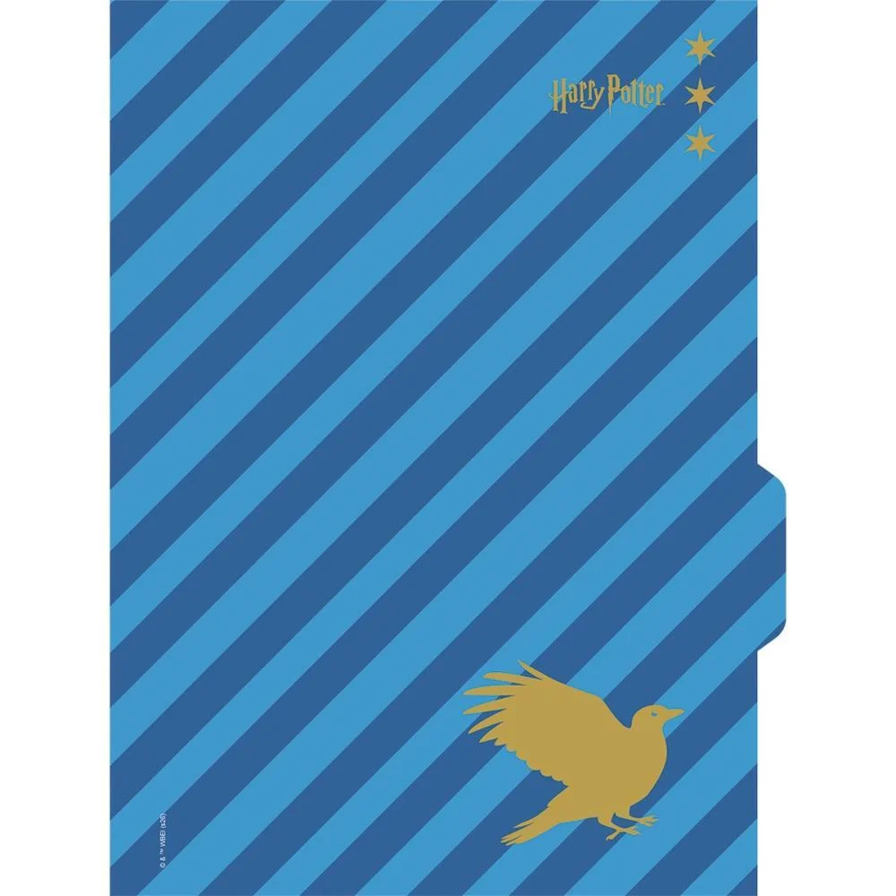 CADERNO 01X1 CAPA DURA HARRY POTTER NEO 80FLS I.A JANDAIA (UNIDADE) - imagem 10