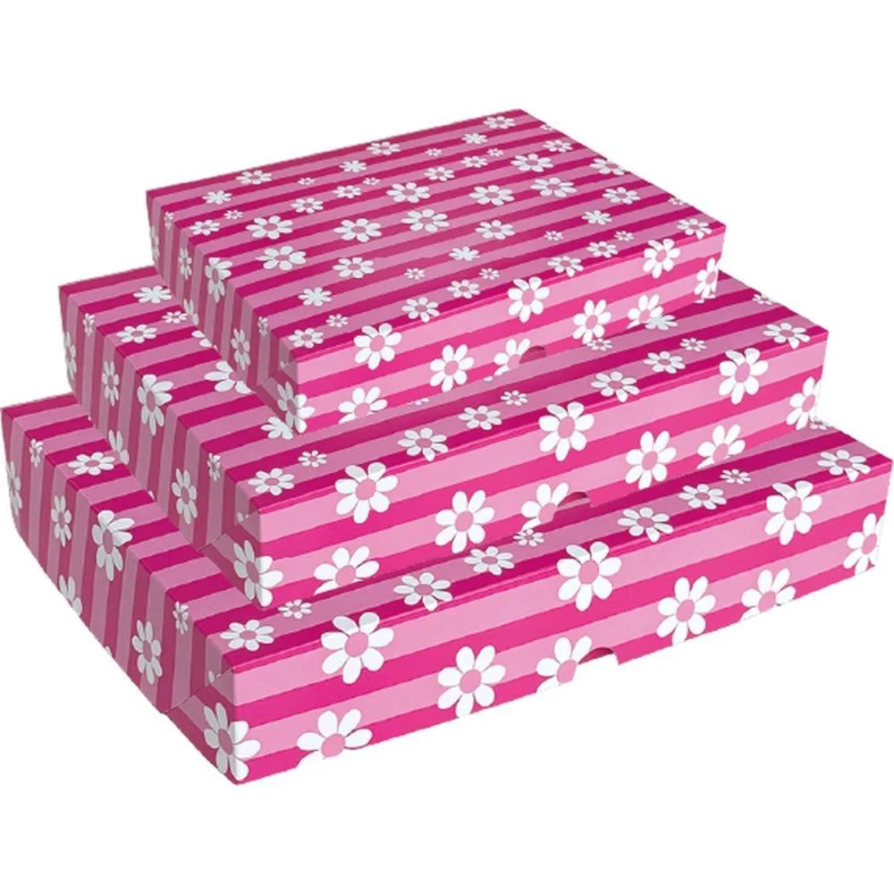 CAIXA PARA PRESENTE FLEX GD 23X35X6 6MOD. CRISTINA (PCT.C/12) - imagem 3