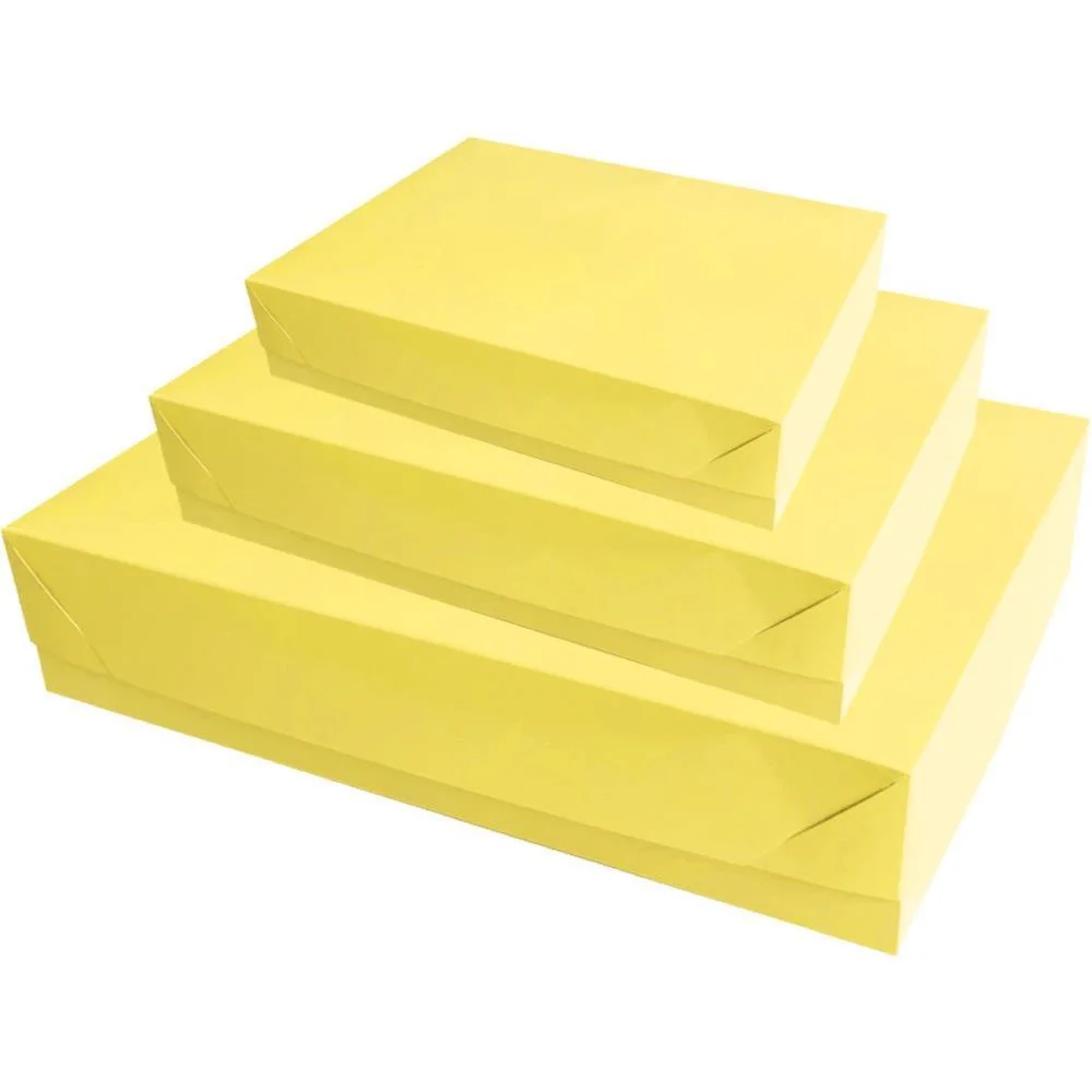 CAIXA PARA PRESENTE COM TAMPA GD 35X25,5X7,5 T.FORTES CRISTINA (PCT.C/12) - imagem 3