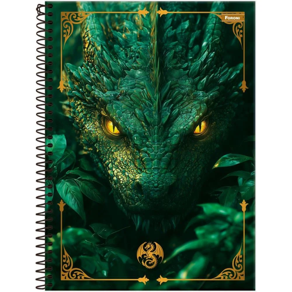 CADERNO 10X1 CAPA DURA DRAKOS 160FLS FORONI (PCT.C/04) - imagem 3