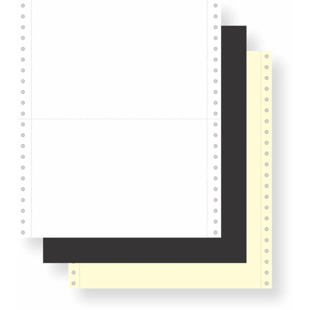 FORMULARIO CONTINUO RAZAO 2 VIAS 80 COLUNAS 50G.C/CARB TAMOIO (CX/3000) - imagem 2