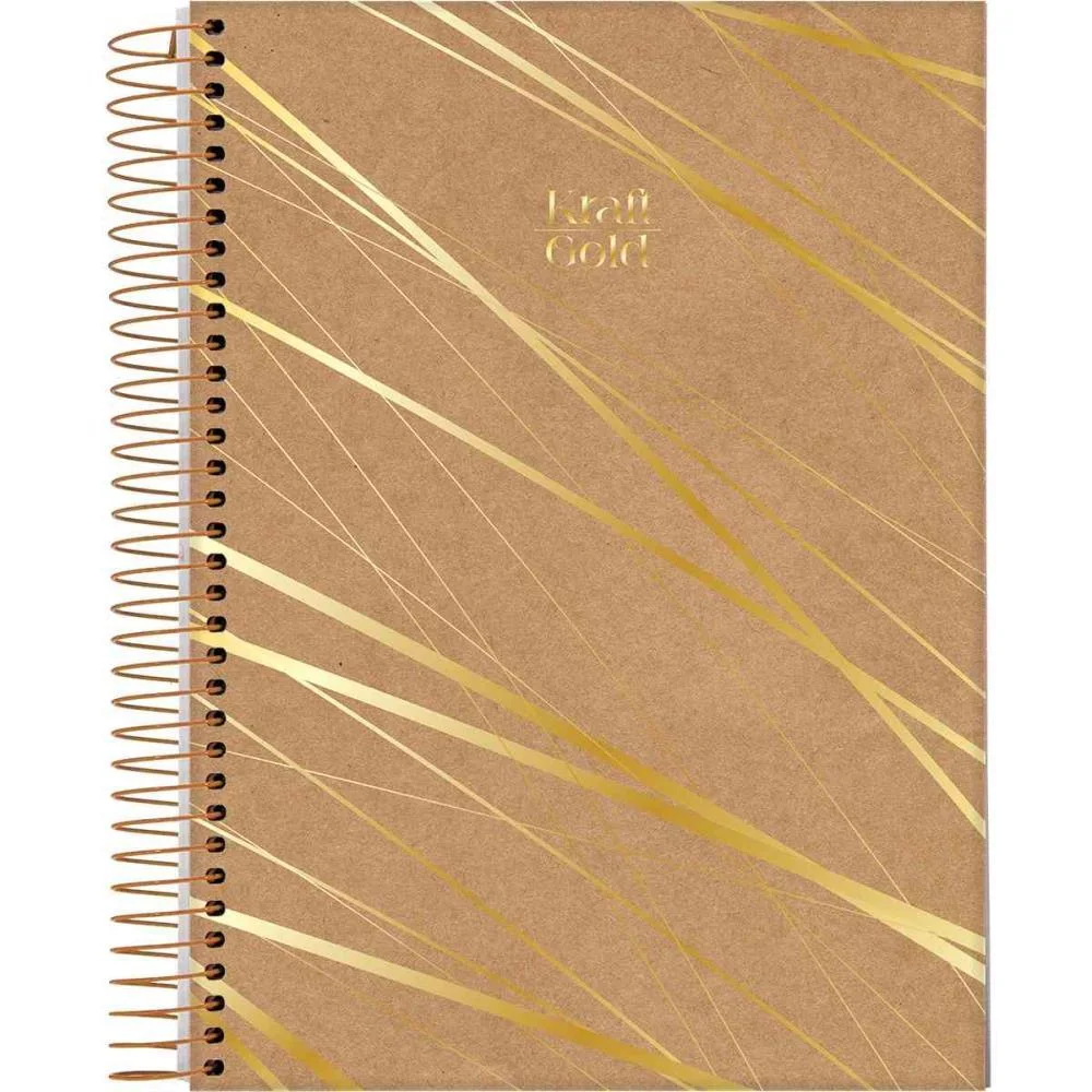 CADERNO 10X1 CAPA DURA KRAFT GOLD 160FLS. I.A JANDAIA (PCT.C/04) - imagem 5