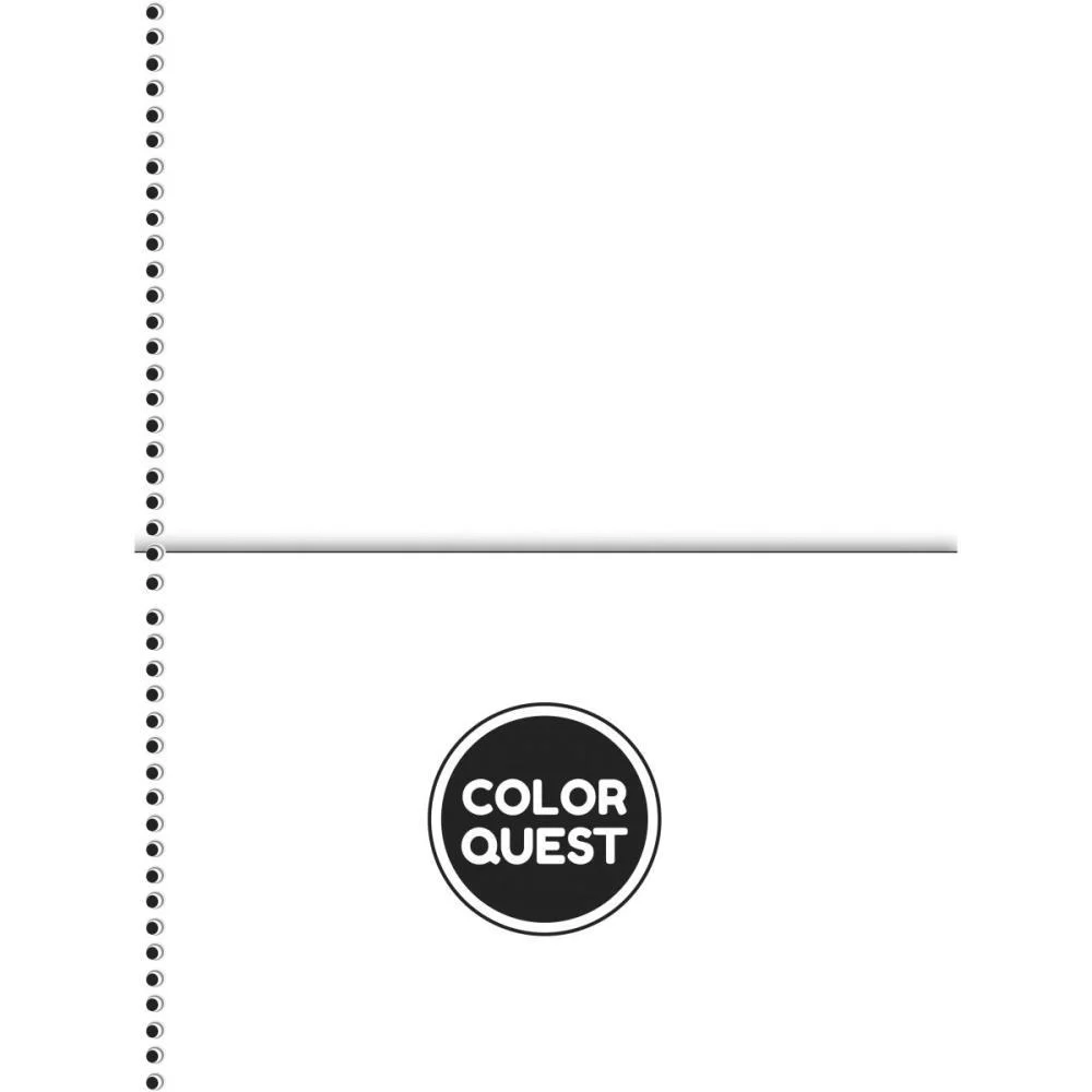 CADERNO 10X1 CAPA DURA COLOR QUEST 160F ANIMATIVA (PCT.C/04) - imagem 8