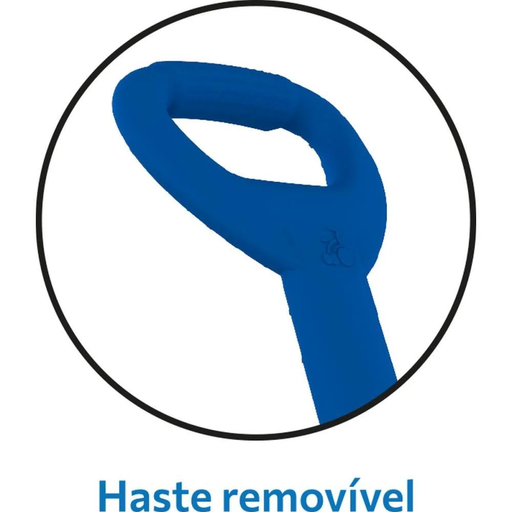 TRICICLO MOTOTICO PASSEIO/PEDAL AZUL BANDEIRANTE (UNIDADE) - imagem 8