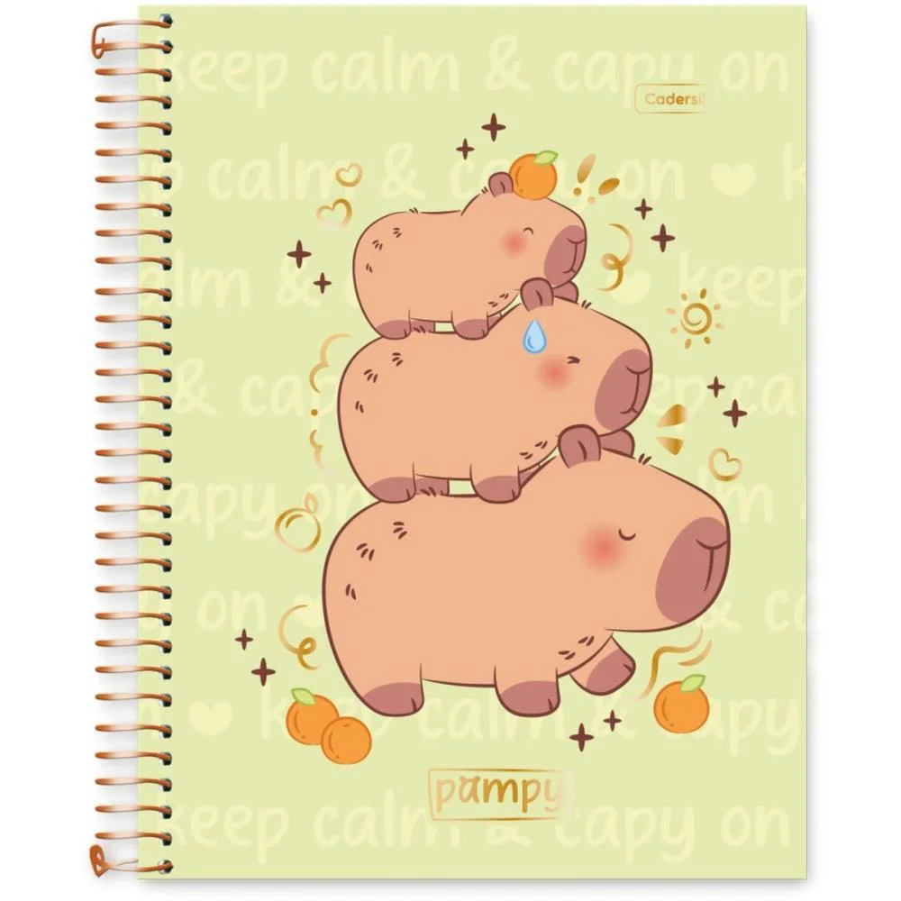 CADERNO 10X1 CAPA DURA CAPY PAMPY 160FLS CADERSIL (PCT.C/04) - imagem 3
