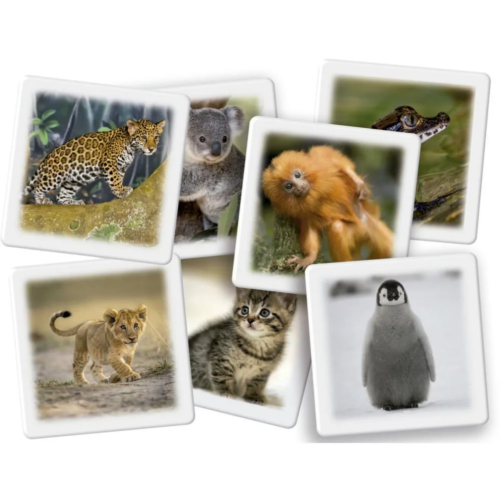 JOGO DA MEMORIA FILHOTES 27 PARES GROW (UNIDADE) - imagem 3