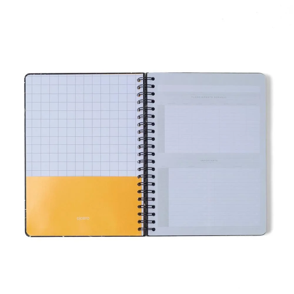 CADERNO 10X1 CP.DURA COLEGIAL PRAIA CACHORROS 160F CICERO (UNIDADE) - imagem 3