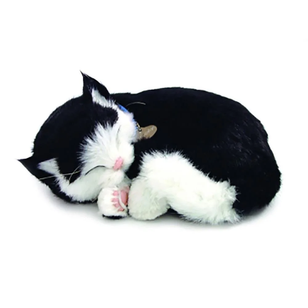 PERFECT PETZZZ FILHOTE GATO BLACK E WHITE SHORTHAIR IMEX (UNIDADE) - imagem 3