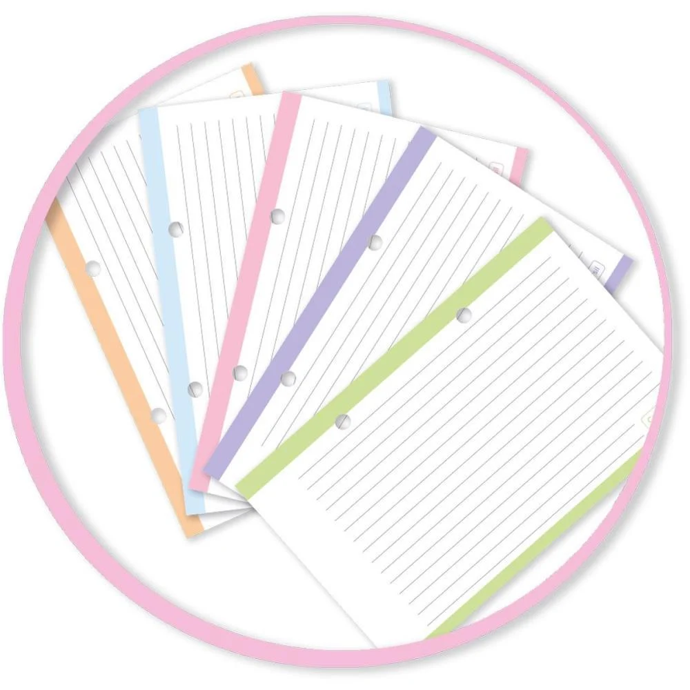 CADERNO ARGOLADO SWEETLY C/ELAS+6DIV+FICHA (S) CADERSIL (UNIDADE) - imagem 5