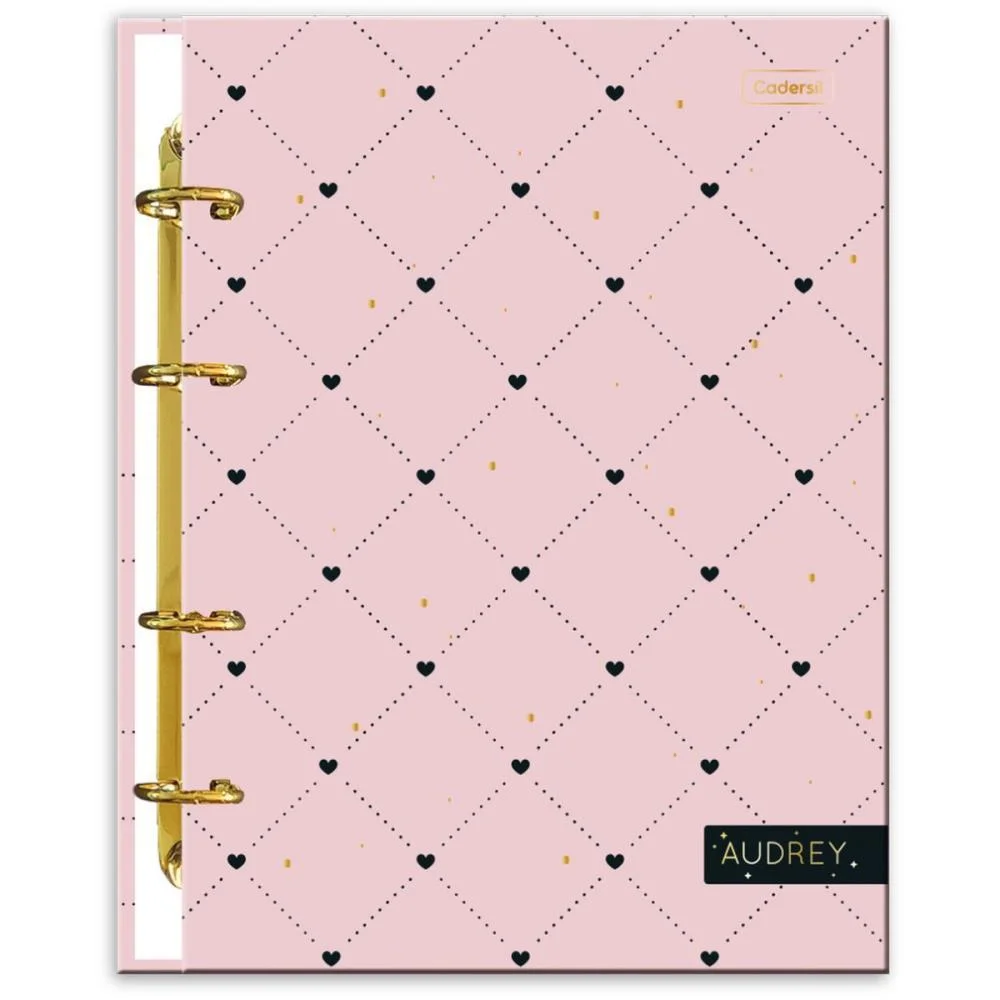 CADERNO ARGOLADO AUDREY C/6 DIVISORIAS 80FLS(S) CADERSIL (UNIDADE) - imagem 2