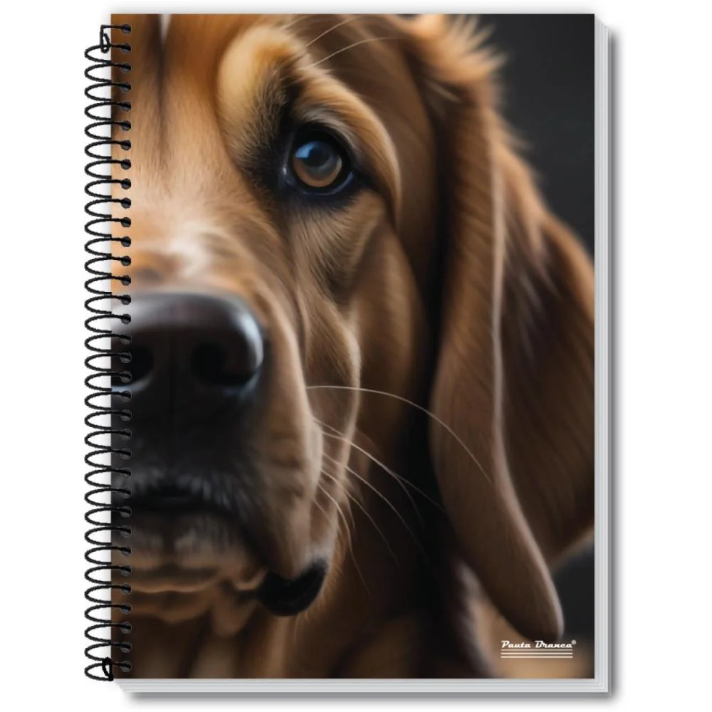 CADERNO ESPIRAL 1/4 CAPA DURA ROX MASCULINO 48FLS. PAUTA BRANCA (PCT.C/10) - imagem 5