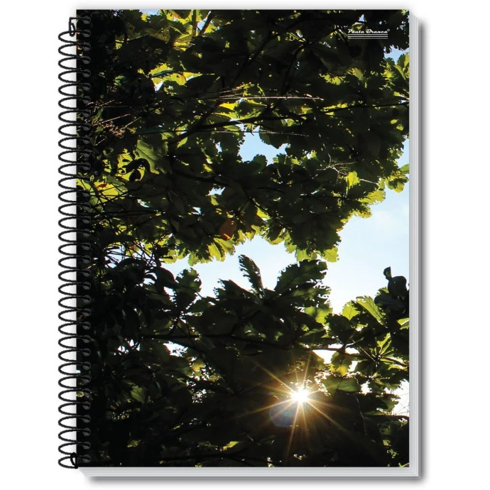 CADERNO ESPIRAL 1/4 CAPA DURA NEW 96FLS. PAUTA BRANCA (PCT.C/05) - imagem 4