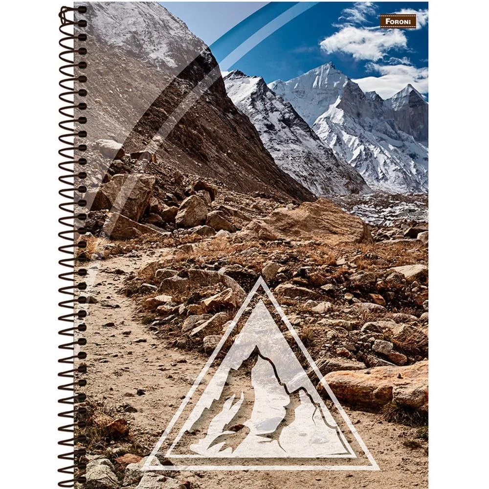 CADERNO ESPIRAL 1/4 CAPA DURA 4 ELEMENTOS 80FLS. FORONI (PCT.C/05) - imagem 11