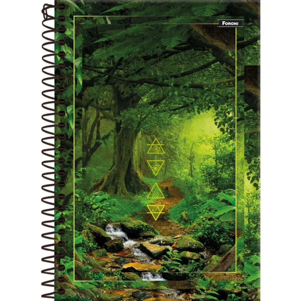 CADERNO ESPIRAL 1/4 CAPA DURA 4 ELEMENTOS 160FLS. FORONI (PCT.C/05) - imagem 4