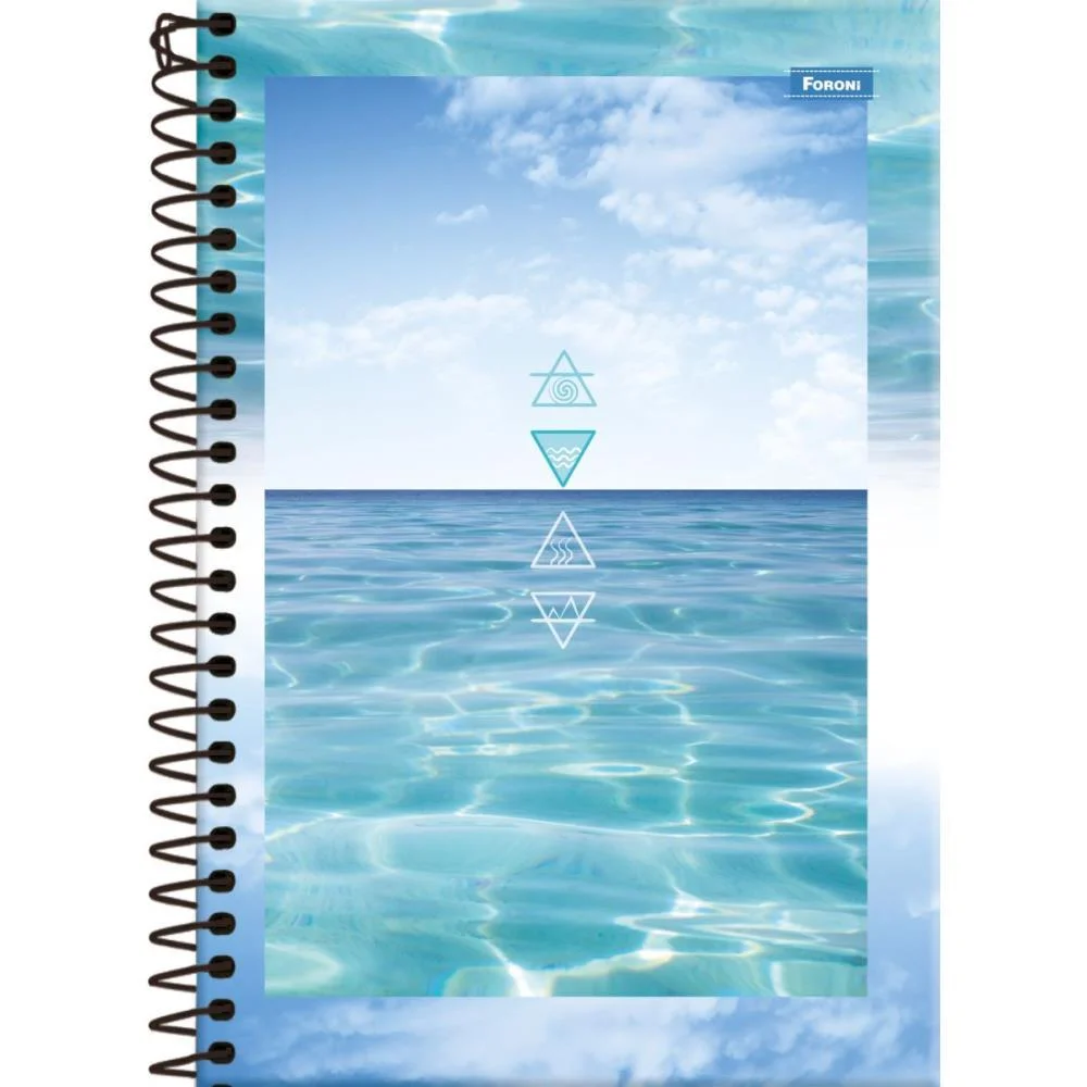 CADERNO ESPIRAL 1/4 CAPA DURA 4 ELEMENTOS 160FLS. FORONI (PCT.C/05) - imagem 5